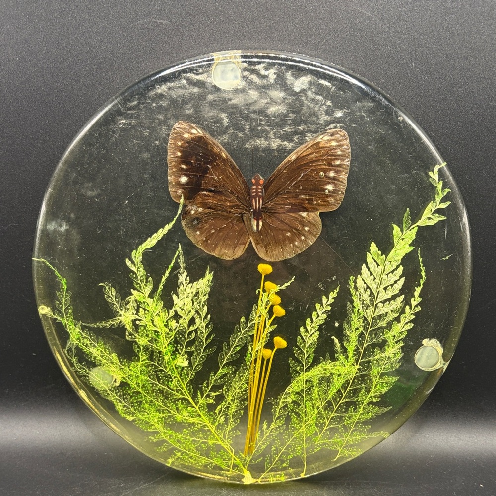 Vintage Butterfly Dried Flowers Trivet Resin Acrylic Lucite 1970s Kitchen Retro